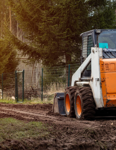 An orange and white skid steer loader parked on a dirt path with visible tire tracks, bordered by a metal fence and surrounded by tall evergreen trees.